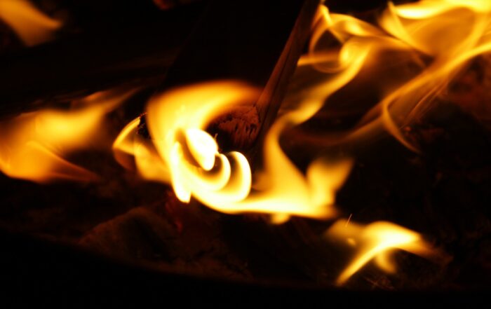 Kiln Dried Logs Burning